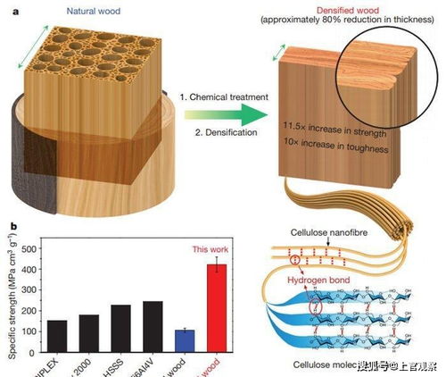 美華人科學(xué)家發(fā)明 超級(jí)木材 ,極其廉價(jià)能擋子彈,秒殺鈦合金