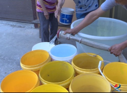 持續(xù)晴熱高溫 重慶豐都 銅梁等地保障群眾生產生活用水鳳凰網(wǎng)重慶