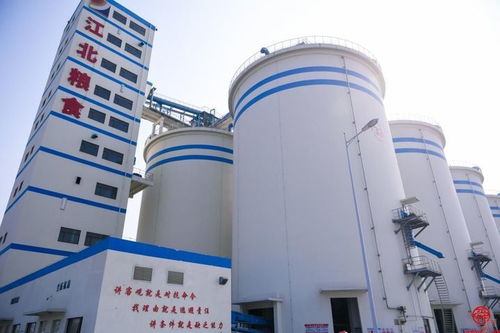 新質(zhì)生產(chǎn)力賦能山東糧企 打造糧食產(chǎn)業(yè)高質(zhì)量發(fā)展 動(dòng)力引擎